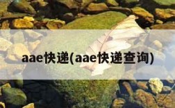 aae快递(aae快递查询)