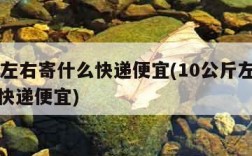 10斤左右寄什么快递便宜(10公斤左右寄什么快递便宜)