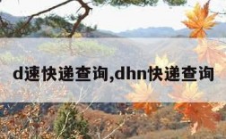 d速快递查询,dhn快递查询