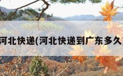 河北快递(河北快递到广东多久)