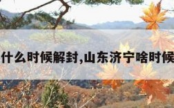 济宁什么时候解封,山东济宁啥时候解封